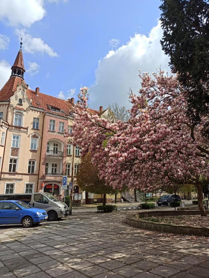 Apartament Rozeta Centrum 6Os Legnica Extérieur photo